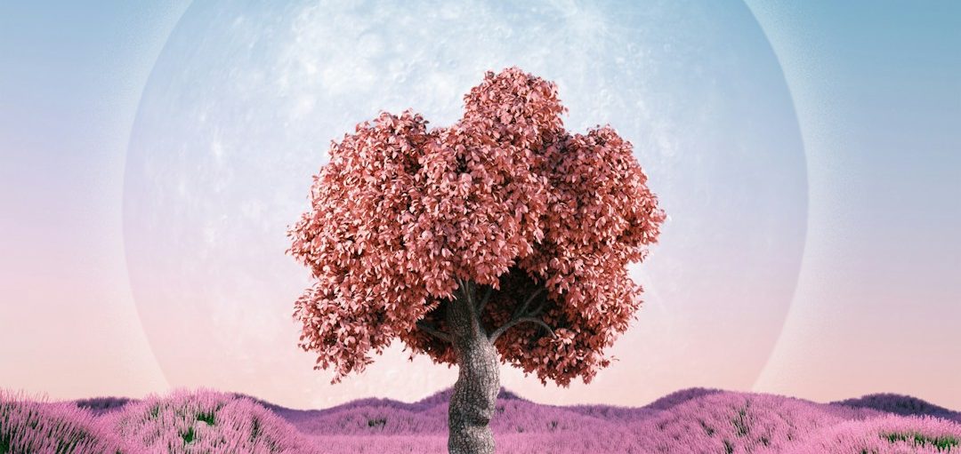 A tree with a clear sky background Header